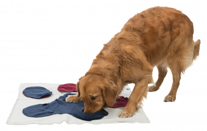 Snuffle mat Patte trixie – Image 2
